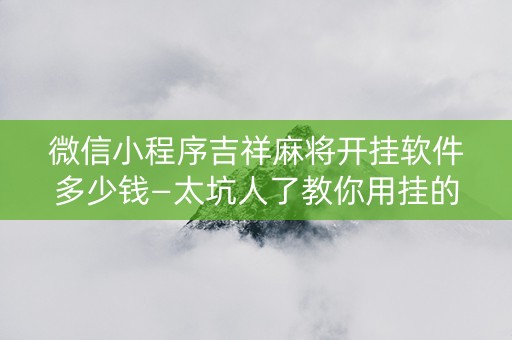 微信小程序吉祥麻将开挂软件多少钱—太坑人了教你用挂的简单介绍