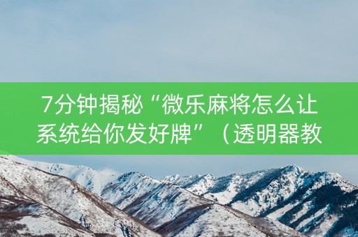 7分钟揭秘“微乐麻将怎么让系统给你发好牌”（透明器教程)