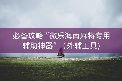 必备攻略“微乐海南麻将专用辅助神器”（外辅工具)