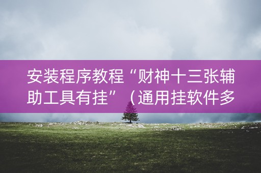 安装程序教程“财神十三张辅助工具有挂”（通用挂软件多少钱)
