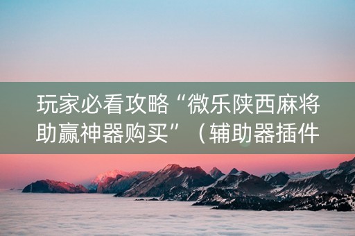 玩家必看攻略“微乐陕西麻将助赢神器购买”（辅助器插件)