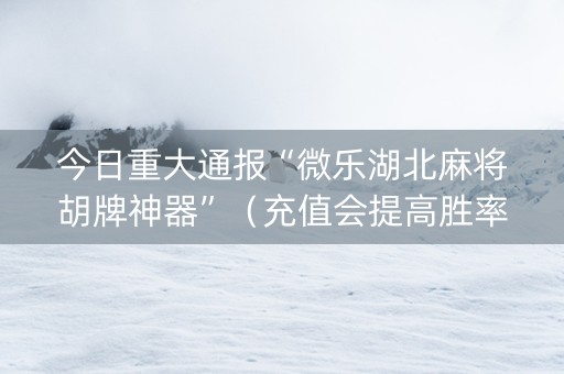 今日重大通报“微乐湖北麻将胡牌神器”（充值会提高胜率么)