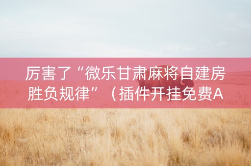 厉害了“微乐甘肃麻将自建房胜负规律”（插件开挂免费AI)