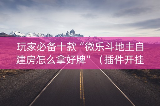 玩家必备十款“微乐斗地主自建房怎么拿好牌”（插件开挂免费AI)