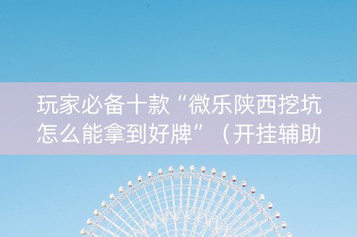 玩家必备十款“微乐陕西挖坑怎么能拿到好牌”（开挂辅助器插件)