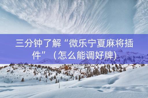 三分钟了解“微乐宁夏麻将插件”（怎么能调好牌)