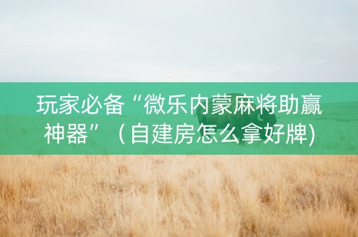 玩家必备“微乐内蒙麻将助赢神器”（自建房怎么拿好牌)