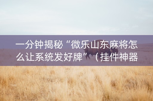 一分钟揭秘“微乐山东麻将怎么让系统发好牌”（挂件神器)