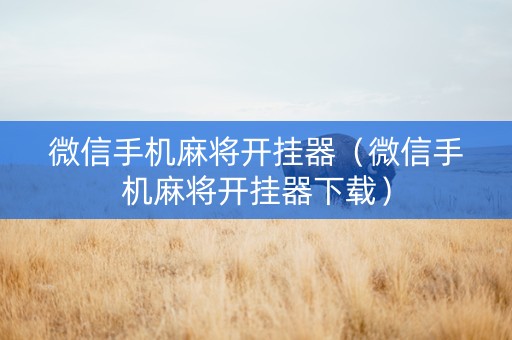 微信手机麻将开挂器（微信手机麻将开挂器下载）