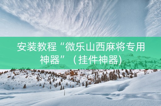 安装教程“微乐山西麻将专用神器”（挂件神器)