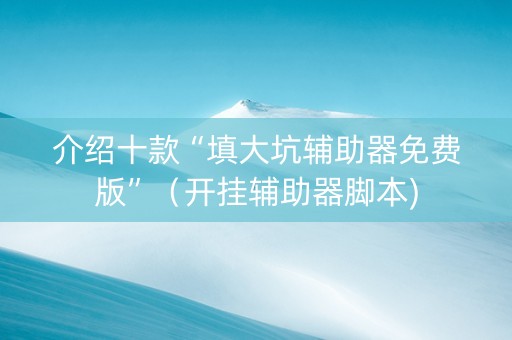 介绍十款“填大坑辅助器免费版”（开挂辅助器脚本)