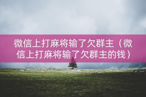 微信上打麻将输了欠群主（微信上打麻将输了欠群主的钱）