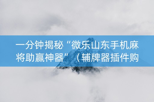 一分钟揭秘“微乐山东手机麻将助赢神器”（辅牌器插件购买)
