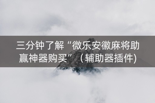 三分钟了解“微乐安徽麻将助赢神器购买”（辅助器插件)