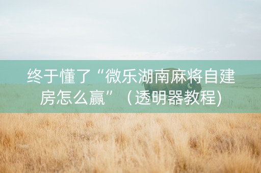 终于懂了“微乐湖南麻将自建房怎么赢”（透明器教程)
