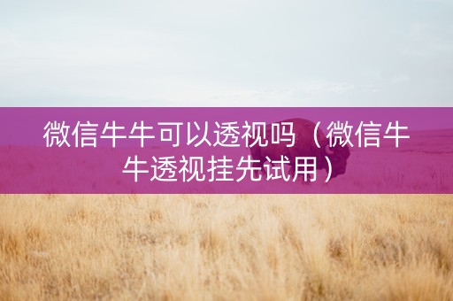 微信牛牛可以透视吗（微信牛牛透视挂先试用）