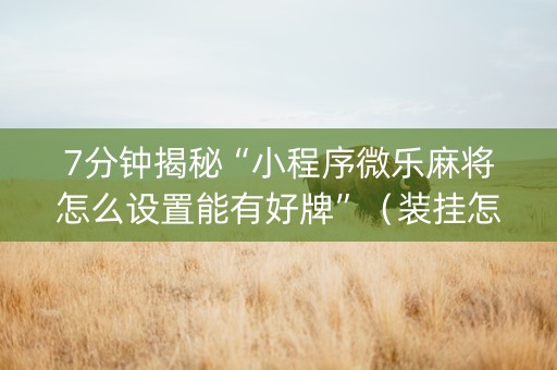 7分钟揭秘“小程序微乐麻将怎么设置能有好牌”（装挂怎么安装)