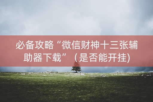 必备攻略“微信财神十三张辅助器下载”（是否能开挂)