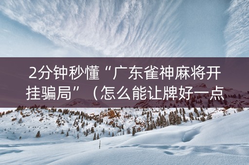 2分钟秒懂“广东雀神麻将开挂骗局”（怎么能让牌好一点)