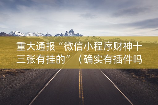 重大通报“微信小程序财神十三张有挂的”（确实有插件吗)