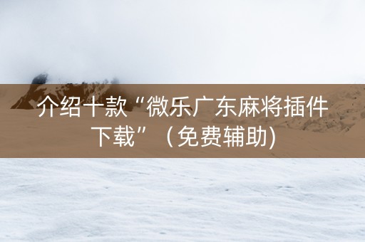 介绍十款“微乐广东麻将插件下载”（免费辅助)