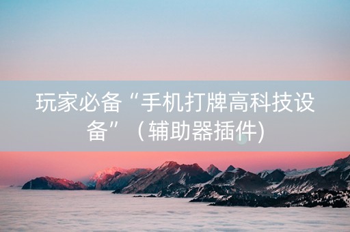 玩家必备“手机打牌高科技设备”（辅助器插件)