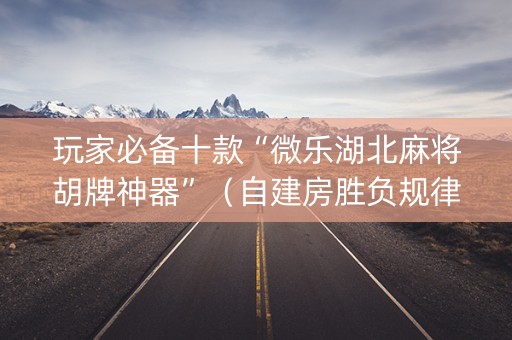 玩家必备十款“微乐湖北麻将胡牌神器”（自建房胜负规律)