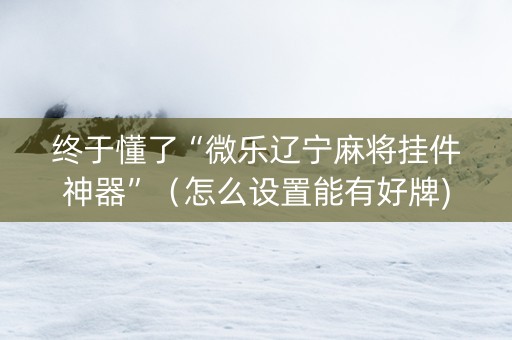 终于懂了“微乐辽宁麻将挂件神器”（怎么设置能有好牌)
