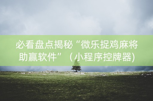 必看盘点揭秘“微乐捉鸡麻将助赢软件”（小程序控牌器)