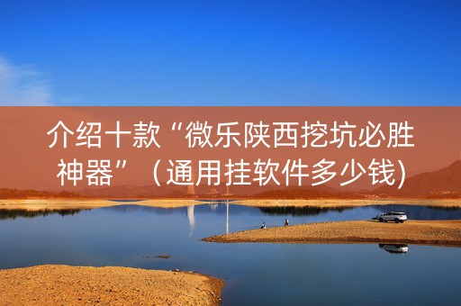 介绍十款“微乐陕西挖坑必胜神器”（通用挂软件多少钱)