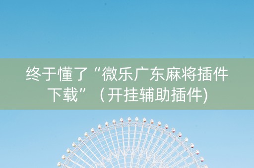 终于懂了“微乐广东麻将插件下载”（开挂辅助插件)