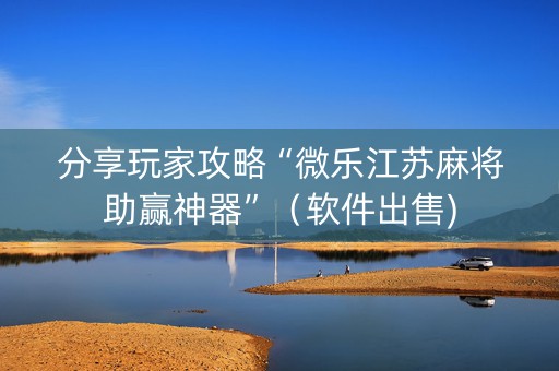 分享玩家攻略“微乐江苏麻将助赢神器”（软件出售)