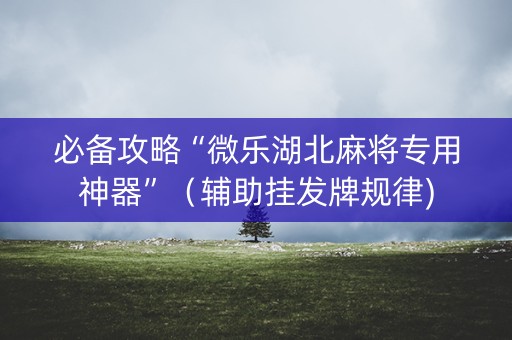 必备攻略“微乐湖北麻将专用神器”（辅助挂发牌规律)