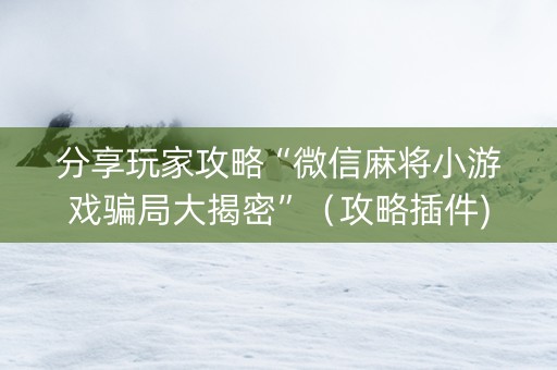 分享玩家攻略“微信麻将小游戏骗局大揭密”（攻略插件)