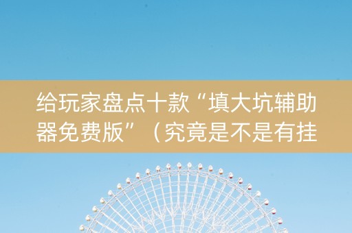 给玩家盘点十款“填大坑辅助器免费版”（究竟是不是有挂)