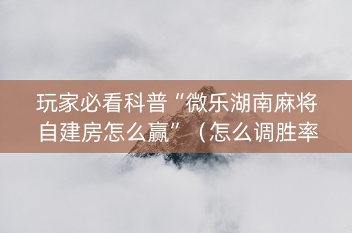 玩家必看科普“微乐湖南麻将自建房怎么赢”（怎么调胜率)