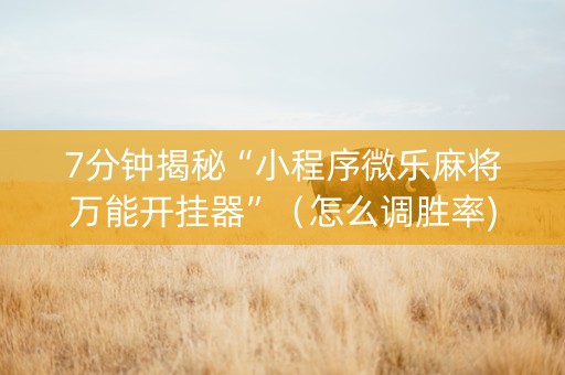 7分钟揭秘“小程序微乐麻将万能开挂器”（怎么调胜率)