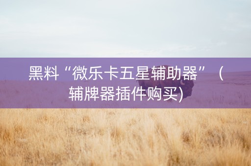 黑料“微乐卡五星辅助器”（辅牌器插件购买)