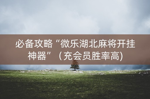 必备攻略“微乐湖北麻将开挂神器”（充会员胜率高)