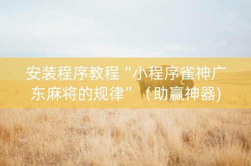 安装程序教程“小程序雀神广东麻将的规律”（助赢神器)