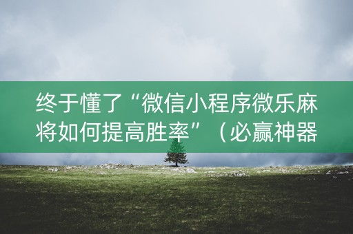 终于懂了“微信小程序微乐麻将如何提高胜率”（必赢神器)