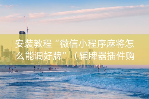 安装教程“微信小程序麻将怎么能调好牌”（辅牌器插件购买)