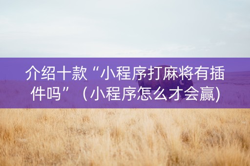 介绍十款“小程序打麻将有插件吗”（小程序怎么才会赢)
