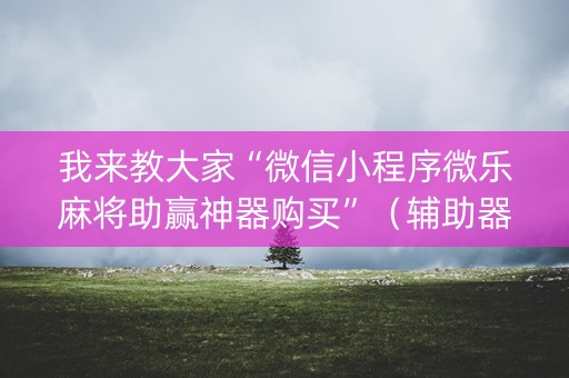 我来教大家“微信小程序微乐麻将助赢神器购买”（辅助器插件)