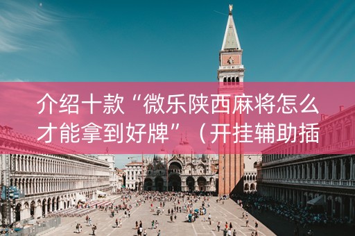介绍十款“微乐陕西麻将怎么才能拿到好牌”（开挂辅助插件)