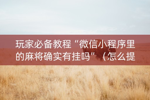 玩家必备教程“微信小程序里的麻将确实有挂吗”（怎么提高胜率)