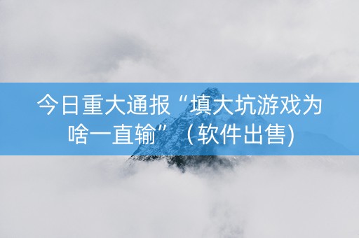今日重大通报“填大坑游戏为啥一直输”（软件出售)