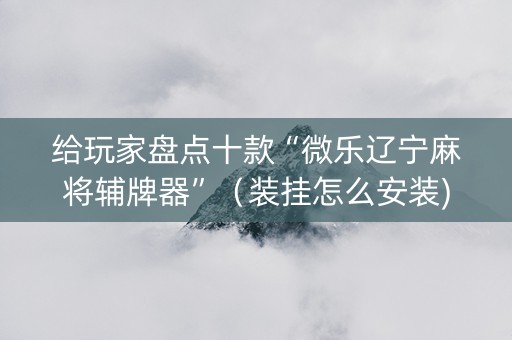 给玩家盘点十款“微乐辽宁麻将辅牌器”（装挂怎么安装)