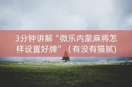 3分钟讲解“微乐内蒙麻将怎样设置好牌”（有没有猫腻)