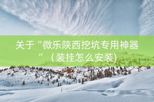 关于“微乐陕西挖坑专用神器”（装挂怎么安装)